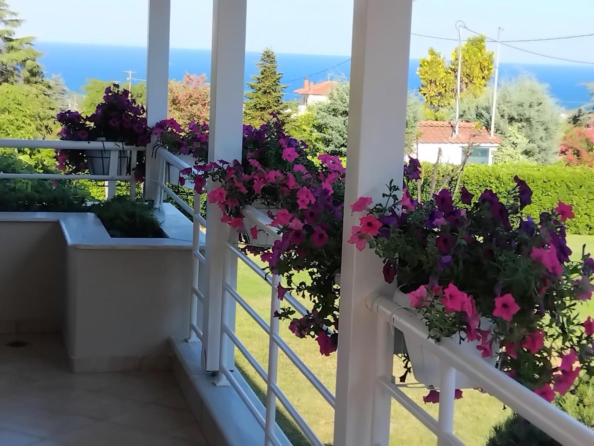 Tammy'S Garden House Villa Leptokaryá Eksteriør bilde